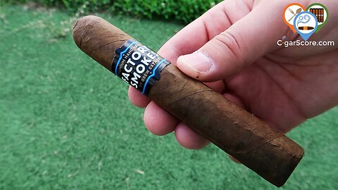 They Spared EVERY EXPENSE! The Drew Estate FACTORY SMOKES Sun Grown - CIGAR REVIEWS by CigarScore
