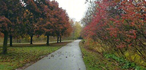 A Rainy day walk in Thomson Memorial Park,Scarborough, Ontario,Canada.Oct-26-2023.A colored Paradise