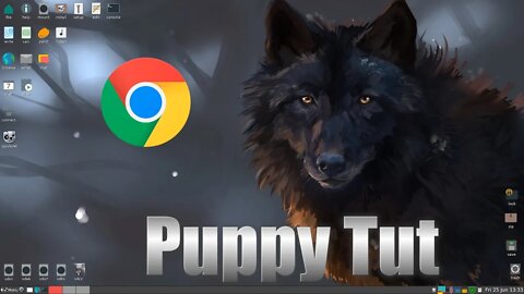 How To Install Google Chrome on Puppy Linux Focal Fossa