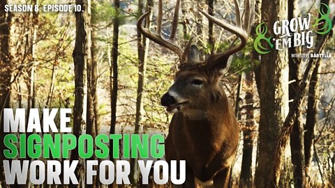How to Create Mature Buck Staging Areas