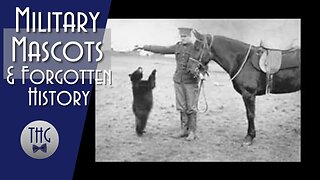 Military Mascots and a Silly Old Bear