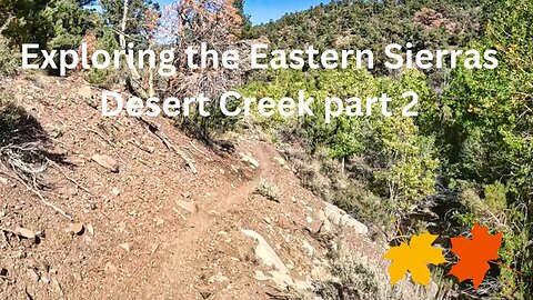 Exploring the Sierras Desert Creek part 2