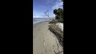 Jekyll Island Beach Hike