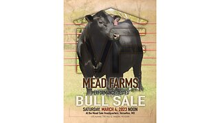 Mead Farms 2023 Performance-Tested Bull Sale Catalog, Versailles, Missouri