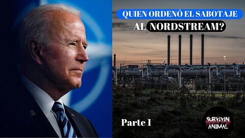 Crímenes de Guerra| Nordstream parte 1/2