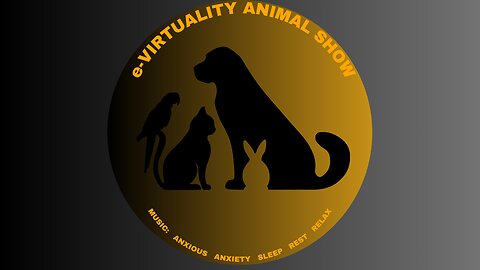 e-Virtuality Animal ASMR II