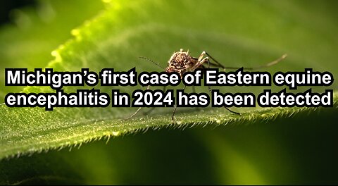 Michigan’s first case of Eastern equine encephalitis in 2024 has been detected