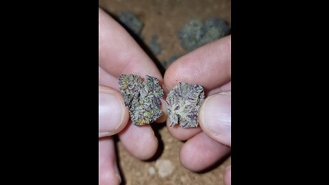 Bluelimealatti cali pack review rsosos weed cannabis 420 smoke up