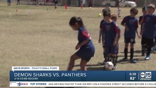 Small Stars: Demon Sharks vs. Panthers U-10 soccer