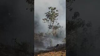 🔥 fogo em Cariacica 🥲