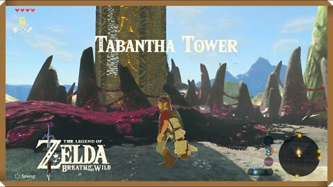 Torre Tabantha