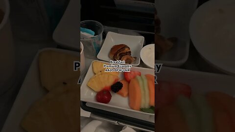 Airplane Food American Airlines Flight 20