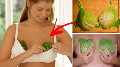 Benefits of Cabbage Leaves for Relief of Engorged Breasts And More!