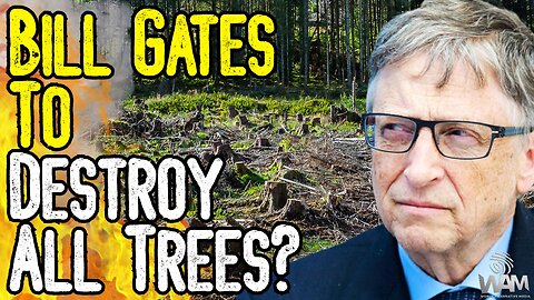 WTF? Bill Gates Wants To DESTROY ALL TREES In The Name Of Climate Change? - This Is INSANITY!
