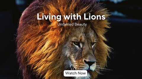 LIVING WITH LIONS|Untamed Beauty