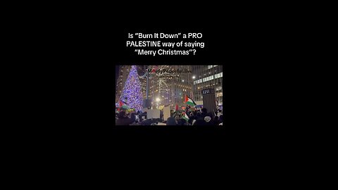 Pro Hamas Screams BURN IT DOWN at Christmas Tree Lighting in USA
