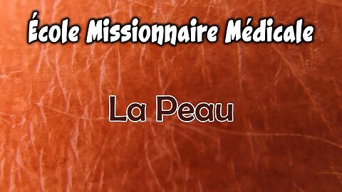 École Missionnaire Médicale | La peau - Sonia Platon