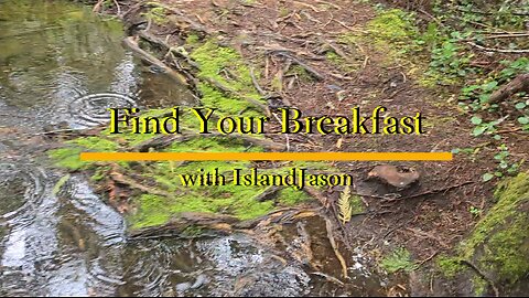 Find Your Breakfast with IslandJason