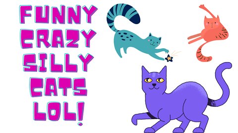 Silly Funny Cat Videos