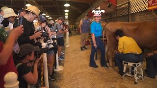 Kari Lake Says ONLY 2 Genders. Tells Reporter To Milk A Cow And Then A Bull And See How That Goes