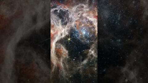 Som ET - 35 - Universe - James Webb - Tarantula Nebula #Shorts