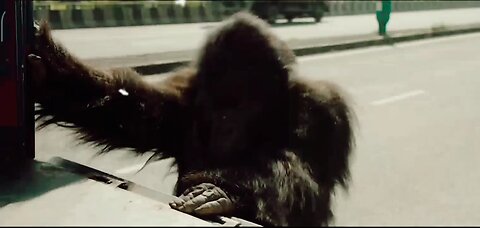 gorilla Funny scene #movie funny video #viral funny video #gorilla funny clips