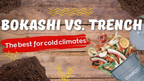 Bokashi Vs. Trench Composting. Which Type Of Composting Is BETTER Bokashi or Trench For Canada?!