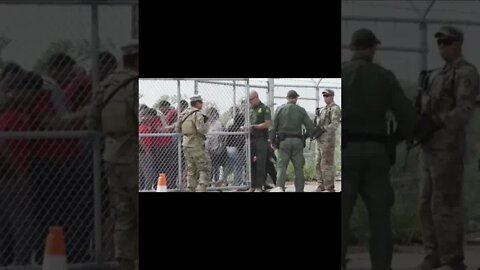 Border Treason? Isn't that what you call Illegal Migrants being escorted by Federal Border Patrol