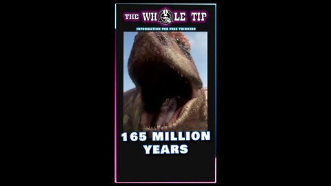 165 MILLION YEARS - the Whole Tip Daily #shorts