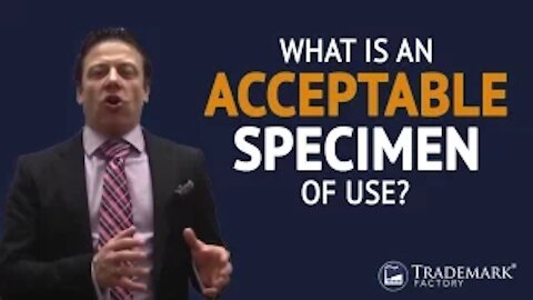 What Is An Acceptable Specimen of Use?