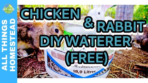 Automatic DIY Chicken & Rabbit Watering System - Automatic Waterer