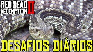 RED DEAD ONLINE DESAFIOS DIÁRIOS E DICAS
