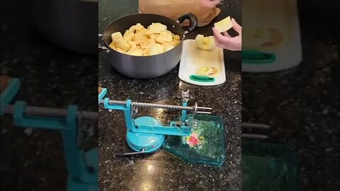 Homemade Applesauce | with an Apple Parer & a Foley Food Mill