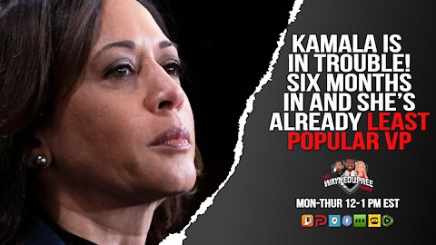 Kamala Harris has become the most unpopular US vice president...six months in!