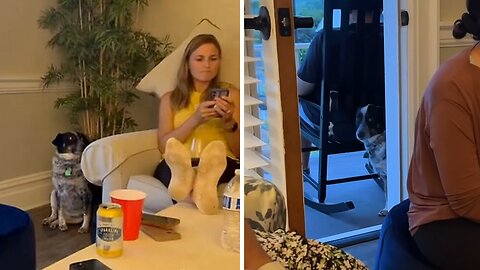 Anxious dog is hilariously awkward at family gatherings