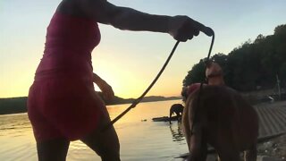 Swimming at the lake ! LonelyCreek puppies