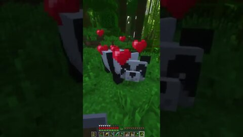 Minecraft 1.19 Realms New Shaders & Mods Survival Multiplayer Series Java SMP (Join Discord for IP!)