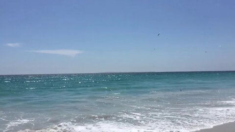 Birds fishing! Dolphin beach, Cape Town