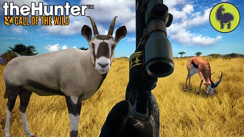 Pistol Practice, Hunt Club Beta | theHunter: Call of the Wild (PS5 4K 60FPS)