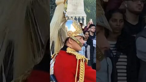 by the right return swords female guard #horseguardsparade