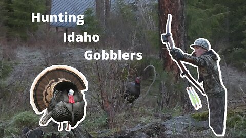 Bowhunting Idaho Turkeys Spring 2022