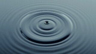 The Ripple Effect