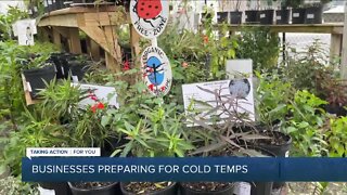 Tampa Bay businesses are preparing for cold temperatures