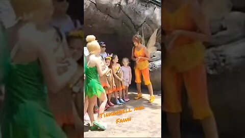 Well The Wait Was Too Long But Here Is Tinkerbell And Fawn | Animal Kingdom 25th Anniversary