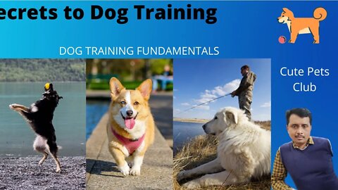 #Dog training,#dog ,#cutedog ,#puppies ,#puppylove