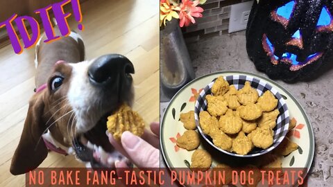 TDIF! No Bake Fang-tastic Pumpkin Dog Treats