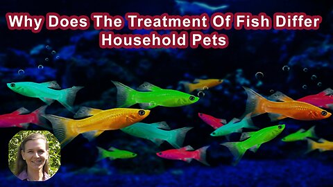 Why Does The Treatment Of Fish Differ From Treatment Of Household Pets?