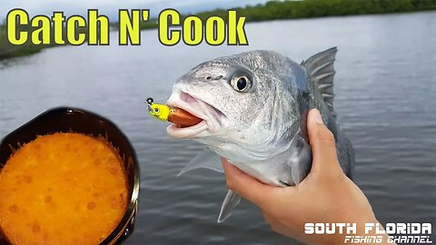 Indian River Inshore Fishing Catch n Cook