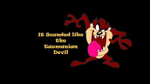 Tasmanian Devil Sound