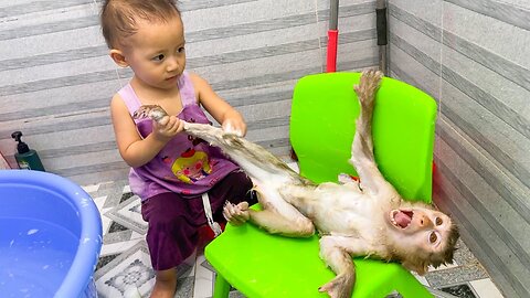So adorable and cute:Baby Diem helps mom both Monkey Kaka